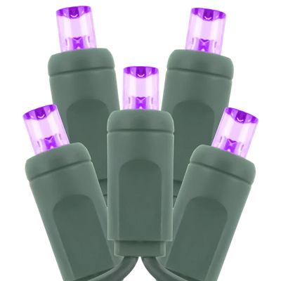 American Lighting 5mm LED Wide Angle 50 Per Strand Standard Holiday Lights