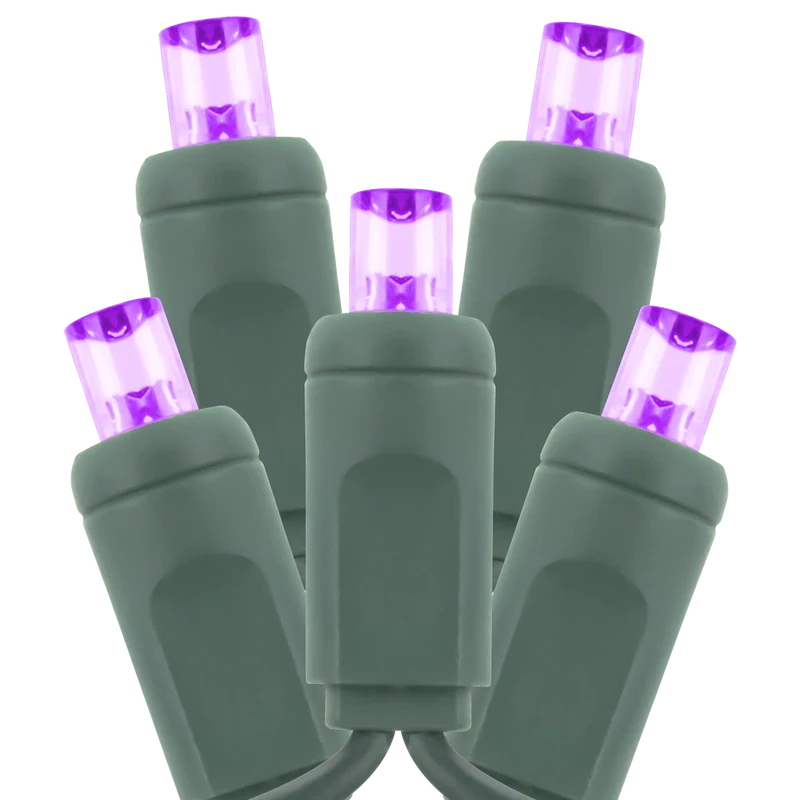 American Lighting 5mm LED Wide Angle 50 Per Strand Standard Holiday Lights