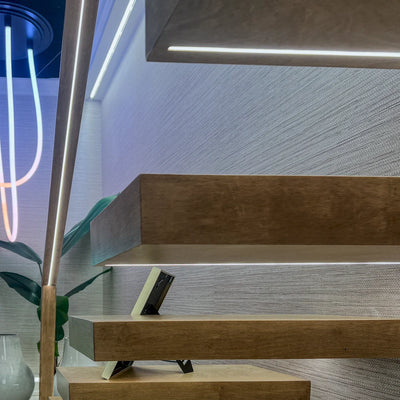 American Lighting 3.28 Foot or 1 Meter Minuet 4x6 Cut-Anywhere 24V DC Flexible LED Neon Tape Light