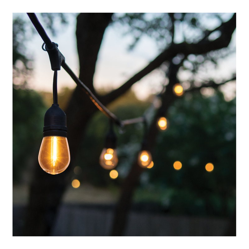 Satco LED Indoor/Outdoor Wet Location Rated String Lights Glass Replacement Lamp 4-Pack
