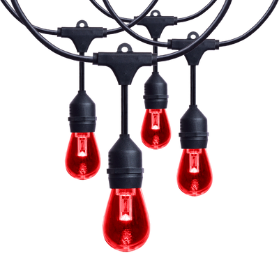 Satco LED Indoor/Outdoor String Lights with Remote Control