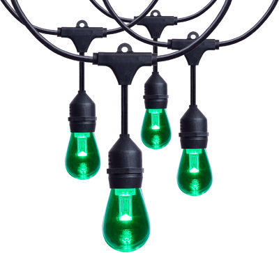 Satco LED Indoor/Outdoor String Lights with Remote Control