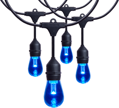 Satco LED Indoor/Outdoor String Lights with Remote Control