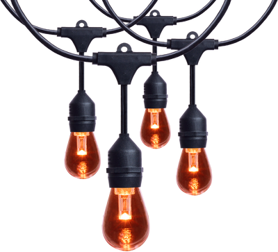Satco LED Indoor/Outdoor String Lights with Remote Control