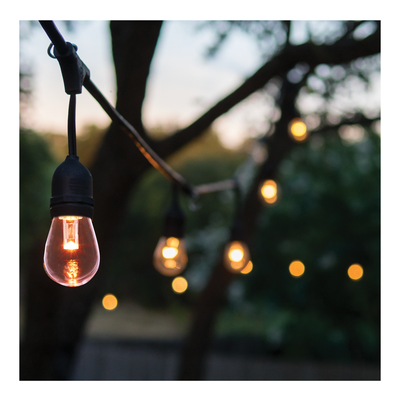 Satco LED Indoor/Outdoor String Lights with Remote Control 0.5 Watt Replacement Bulbs