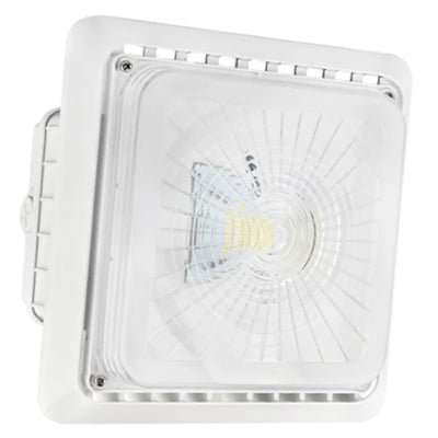 100  Watt 120-277V LED Garage Canopy Light Fixture
