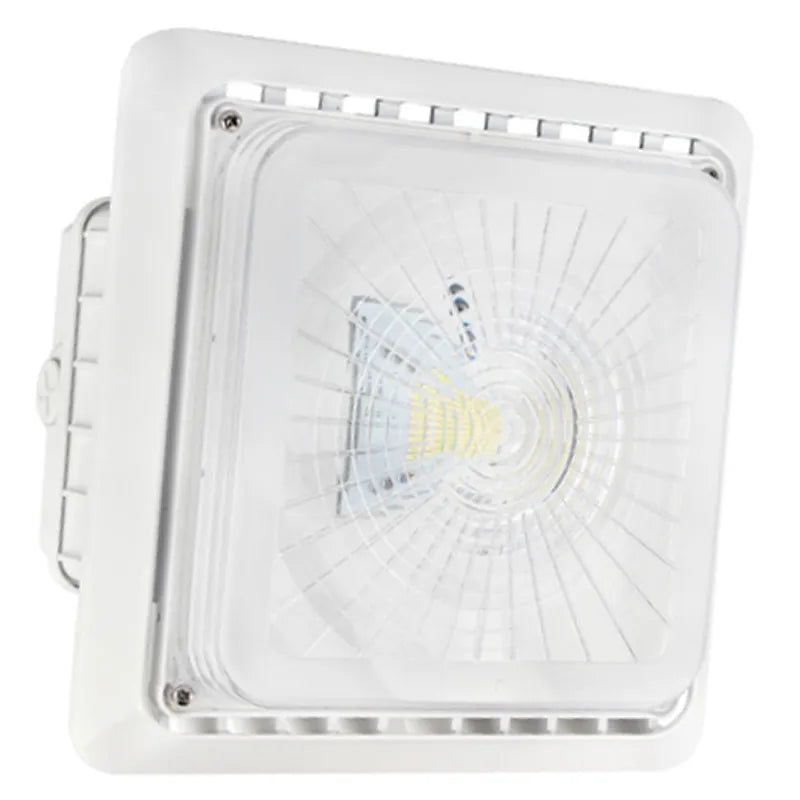 100  Watt 120-277V LED Garage Canopy Light Fixture