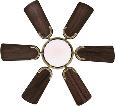 Westinghouse Lighting Petite 30 Inch Six Blade Indoor Ceiling Fan With LED Light Fixture