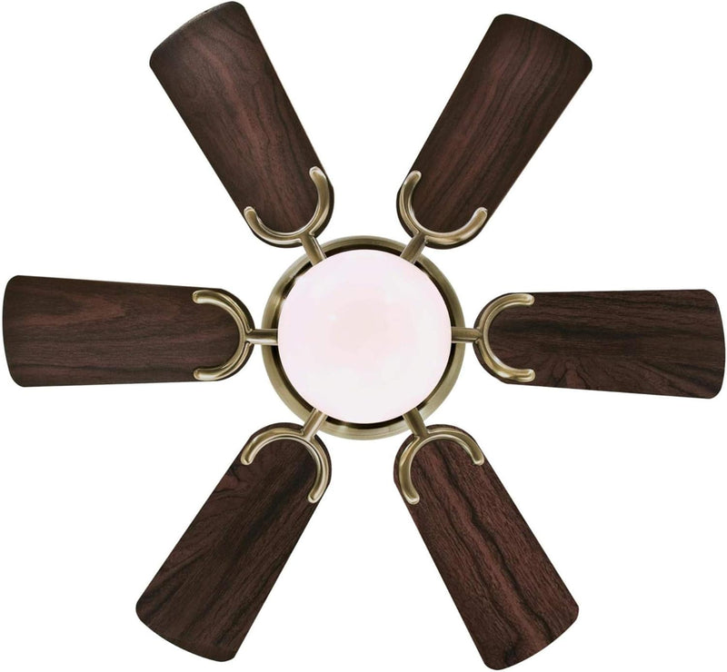 Westinghouse Lighting Petite 30 Inch Six Blade Indoor Ceiling Fan With LED Light Fixture