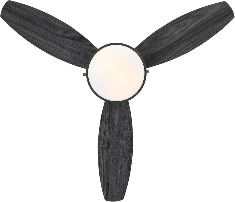 Westinghouse Lighting Alloy 42 Inch Three Blade Indoor Ceiling Fan With LED Light Fixture