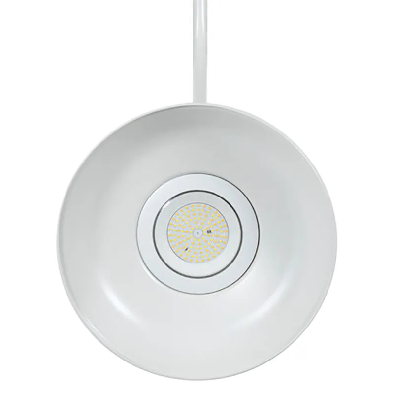 Westgate 40 Watt Gooseneck LED Barn Light Fixture 3000/4000/5000K   