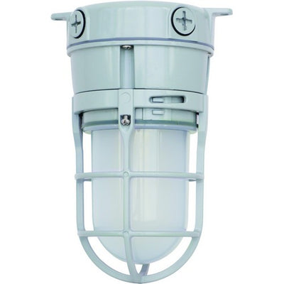 Morris Products 11 Watt LED Utility Vapor Tight Ceiling Mount Jelly Jar 5000K 5000K Daylight  