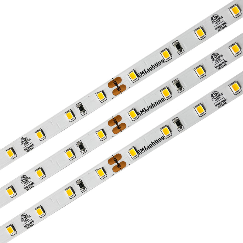 GM Lighting 2 Watt 12VDC LTR-E Economical Series Dimmable Tape Lighting 80 CRI 2700K Warm White 16 Foot 