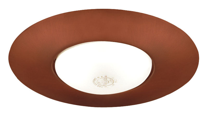 Juno 250 ABZ 6 Inch BR30 Open Frame Classic Aged Bronze Trim Bronze  