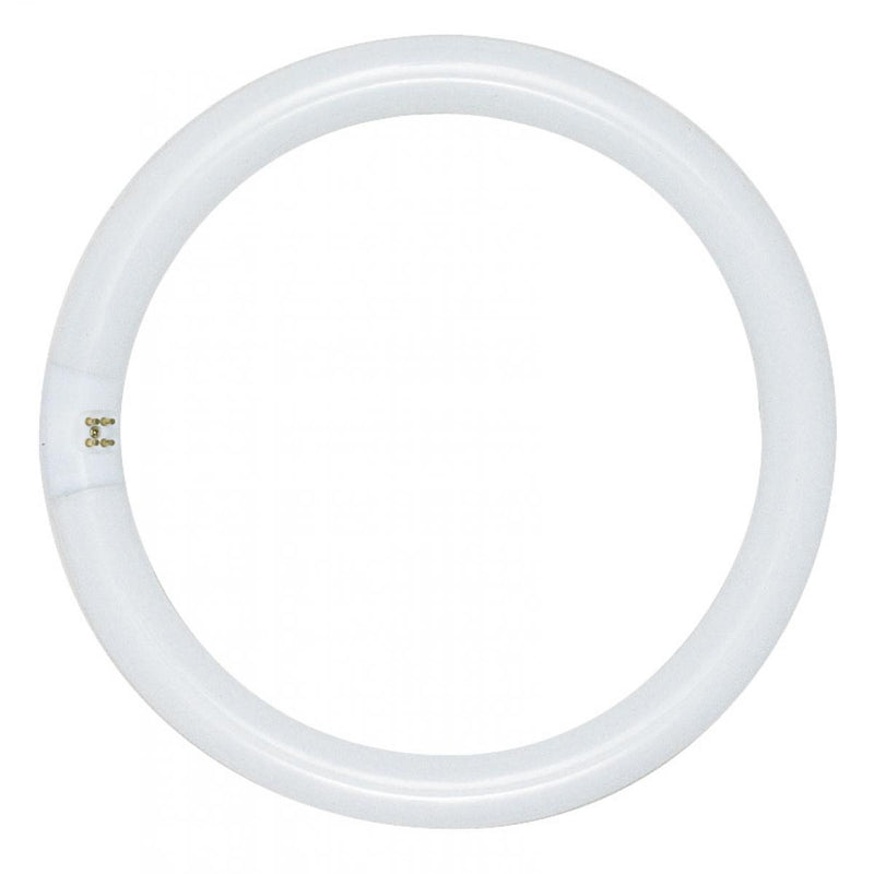Satco 6 Inch 20 Watt 4 Pin Circline Fluorescent Light Bulb 4100K 4100K Cool White  